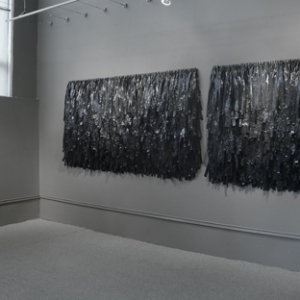 "State of Emergency", The Art League Gallery